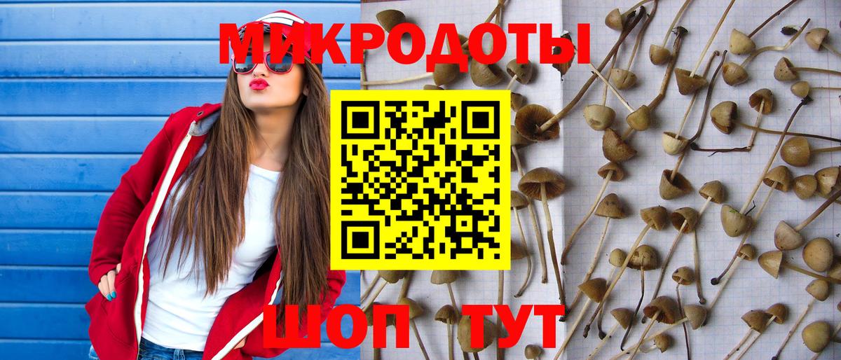 Галлюциногенные грибы GOLDEN TEACHER Балашов