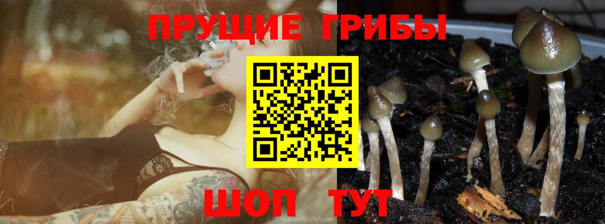 Балашов  Галлюциногенные грибы Psilocybe  Галлюциногенные грибы мухоморы  Вход с VPN 